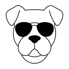 a dog's head. The dog appears to be a boxer or a similar breed, with a wrinkled face and a pointed nose. It is wearing large, round sunglasses with a white frame and dark lenses