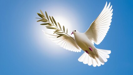 Obraz premium A white dove carrying an olive branch, flying in a bright sky.