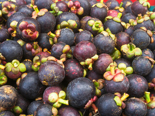 Delicious Mangosteen