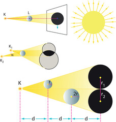 Optics, reflection lesson forms, Light Reflection infographic diagram with example of light source where incoming rays reflected on a smooth shiny mirror surface for physics science education