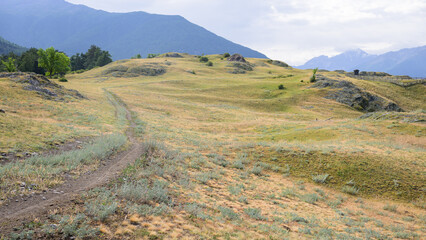 Meadow on Tartscher Bichl on a cloudy day in summer