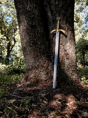 A beautiful medieval sword with a sword with a bronze hilt near a large tree in the forest.