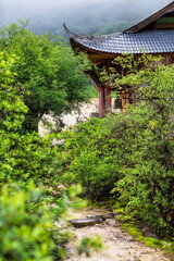 Pathway Through Greenery to Traditional Temple in Huanglong