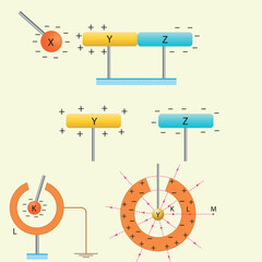 Optics, reflection lesson forms, Light Reflection infographic diagram with example of light source where incoming rays reflected on a smooth shiny mirror surface for physics science education