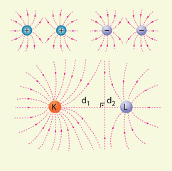 Optics, reflection lesson forms, Light Reflection infographic diagram with example of light source where incoming rays reflected on a smooth shiny mirror surface for physics science education