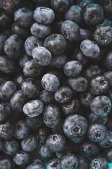 Blueberry 