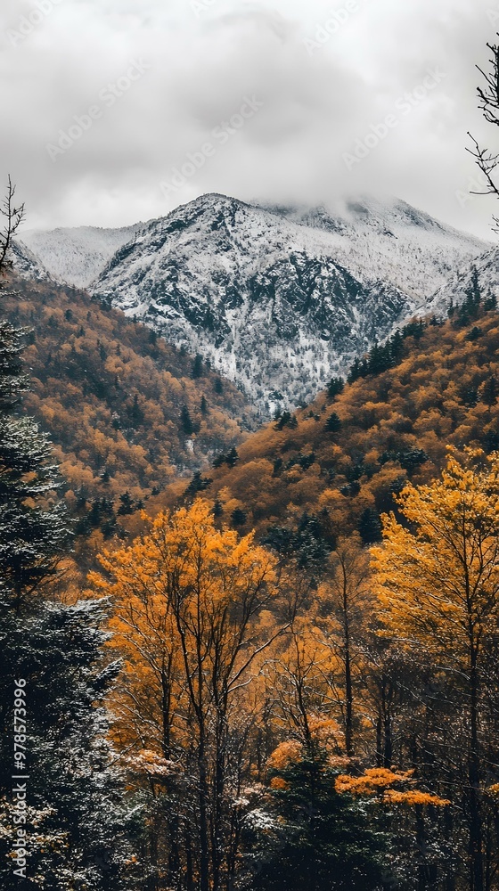 Wall mural autumn foliage and snow covered mountains