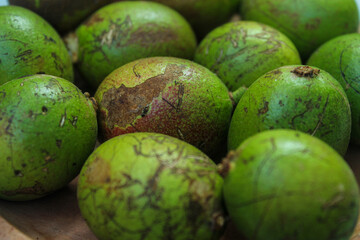 close up of green matoa fruit. Pometia pinnata
