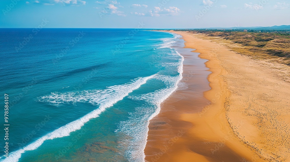 Wall mural Sunny gold sandy beach, panorama. Panoramic view tranquil sandy beach. Peaceful sea waves shore. Ocean coast view. Aerial photography beachfront. generative ai