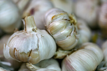 Garlic bulbs. The focus is on one bulb in the foreground, which has a slightly golden hue and papery skin that is common to garlic. The background features more garlic bulbs, but they are out of focus
