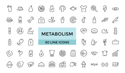 Metabolism icons collections outline vector. Torso health. Detox balance and more, Outline icon set. Editable Thin icon vector collections.