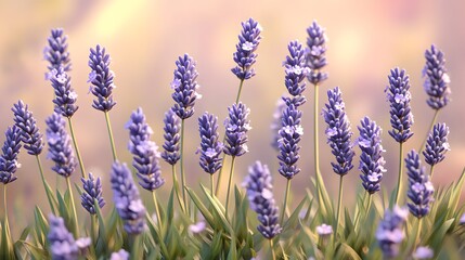 Obraz premium Illustration of lavender flowers in a botanical garden, finely detailed stalks and petals, hyper real, sharp images, high quality
