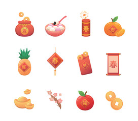 Set of vector illustrations for Chinese New Year or Lantern Festival, cute colorful style, translation: wealth and spring