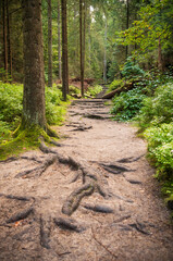 Hiking Trail through Saxon Switzerland National Park, or Nationalpark Sächsische Schweiz