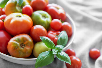Fresh organic tomatoes
