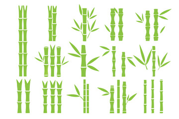 Obraz premium green bamboo icons collection