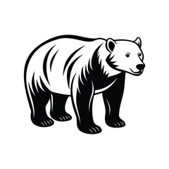 illustration of a bear