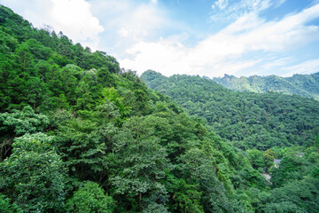 Misty rock pillars and mountain landscape in Zhangjiajie, Hunan Province, China