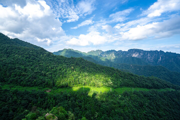 Obraz premium Misty rock pillars and mountain landscape in Zhangjiajie, Hunan Province, China