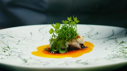 Slow motion video of chef garnishing fine dining seafood dish beautifully presented. Top light.