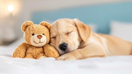 A cute puppy peacefully sleeps beside a cuddly bear toy, creating an adorable and heartwarming scene of companionship.
