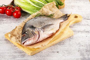 Raw dorada fish served rosemary