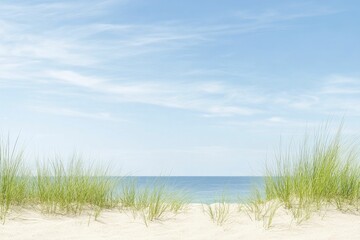 Serene Beach Landscape with Lush Green Grass Under a Clear Blue Sky, Inviting Tranquility and Natural Beauty in a Coastal Setting