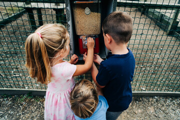 Three children gathered around a dispenser, working to get animal food