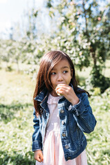 Apple Picking in the Fall