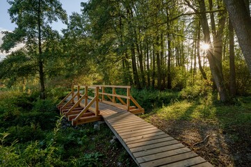 Fototapeta premium wooden bridge over the river
