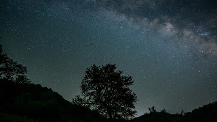 Naklejka premium Lonely tree under the Milky Way
