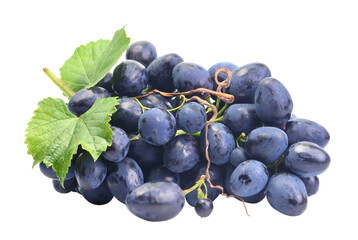 Grapes isolated on white