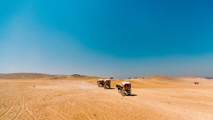 carts with tourists in the desert in egypt