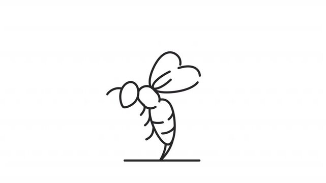 Bee venom line animation. Wasp sting animated icon. Yellowjacket flying, moving wings. Entomology, insect. Black illustration on white background. HD video with alpha channel. Motion graphic
