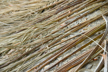 palm tree leaf grass in the field texture wooden background