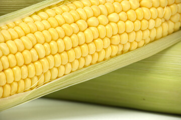 Vibrant close-up photo of fresh corn on the cob with green husks