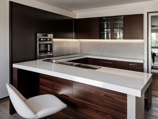 Modern kitchen with white countertop and dark wood cabinets
