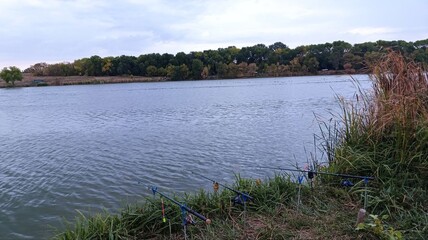 Peaceful Fishing Spot