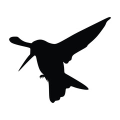 Silhouette of a bird in flight