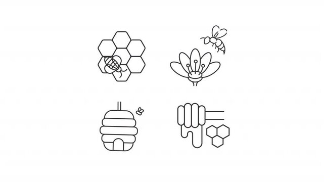 Apiculture animation set. Beekeeping animated line icons. Honeycomb, beehive. Pollination bee. Honeybee. Black illustrations on white background. HD video with alpha channel. Motion graphic