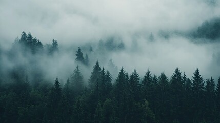 Misty forest landscape with dense fog swirling through the trees, creating a haunting and atmospheric scene