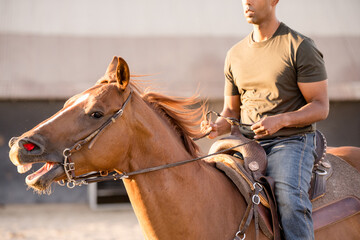 Close up of horse with mouth open
