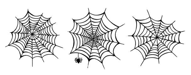 Web and the spider hand drawn illustration