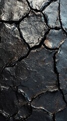 Cracked earth glistens under sunlight showcasing nature's intricate patterns and textures