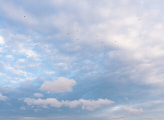 ciel