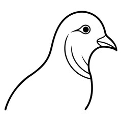 illustration of a bird