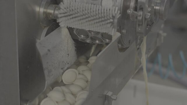 packing dumplings on a conveyor line, V-log