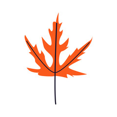 Icon with leaf , autumn natural leaf botanical vector illustration. Autumn hand drawn cute and cozy design element. Fall, Thanksgiving Day, Autumn season.