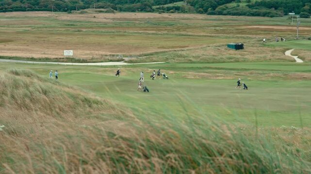 Group of golfers and their caddies walking across fairway using push carts, view from tall grass rough blowing in the wind in slow motion