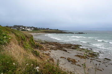 Criste marine, Plage du Dourveil, 29, Névez, Bretagne, Finistère, France